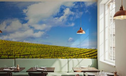 Mustard Fields Napa Valley