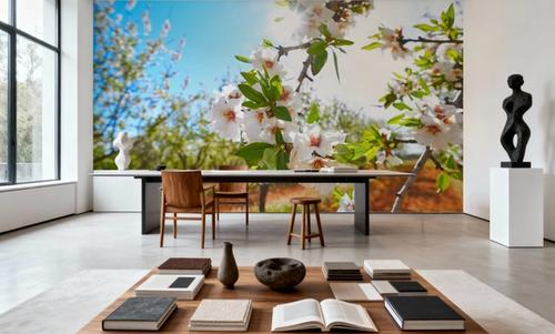 Almond Blossom Orchard