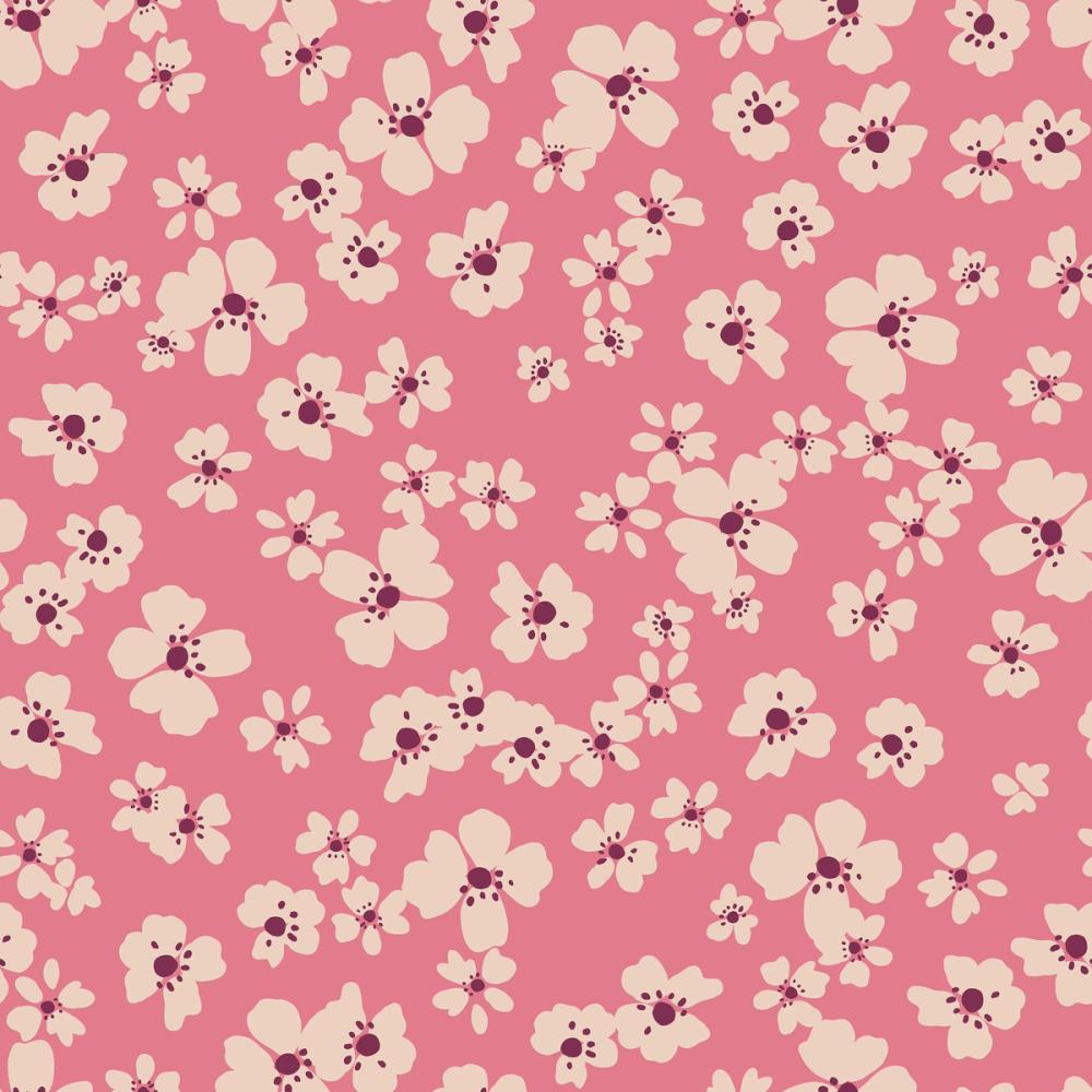 Pink Daisy Dream