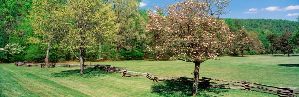 Pisgah National Forest