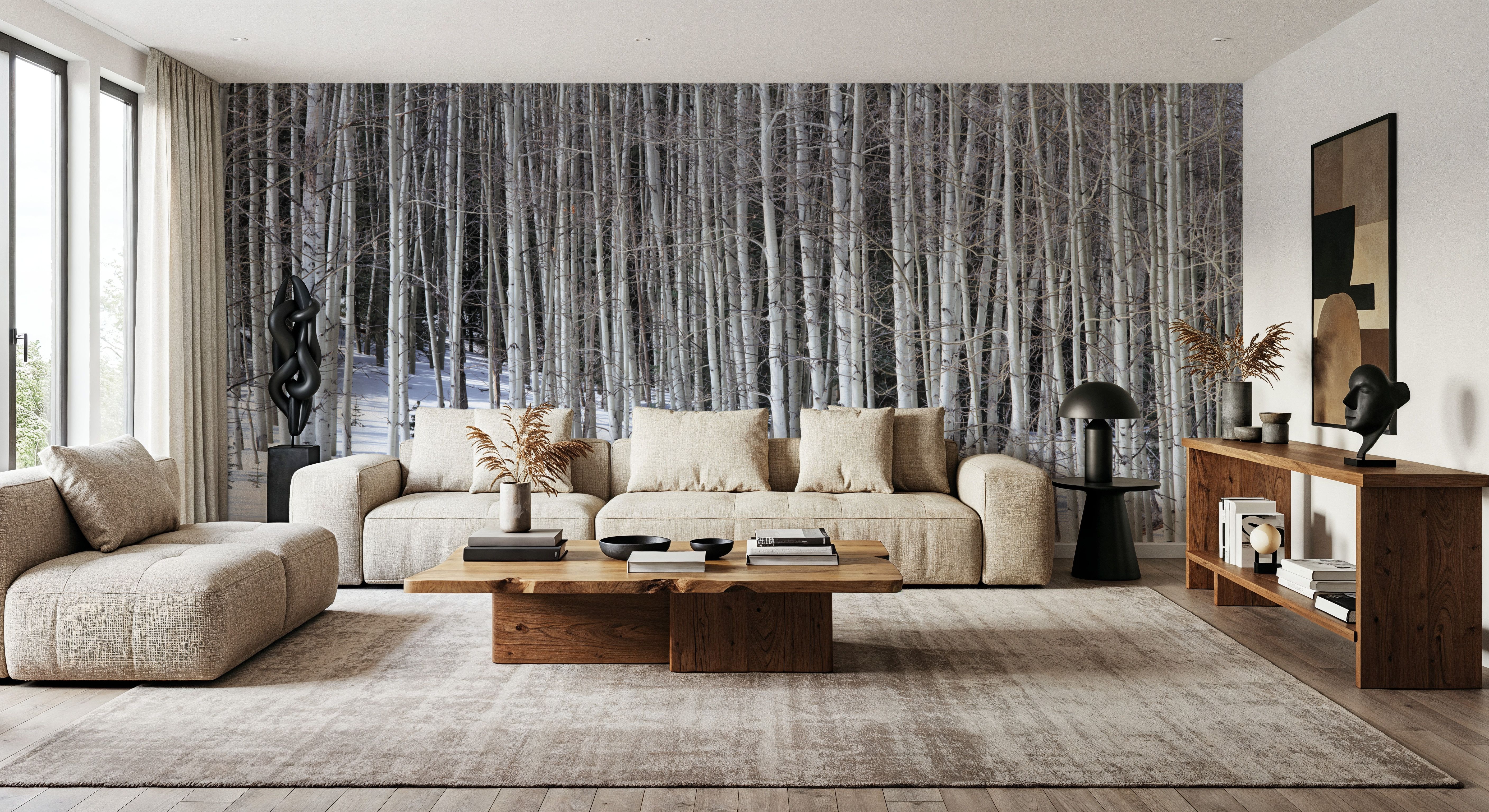 Winter Birch Stillness