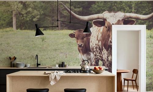 Longhorn Protection