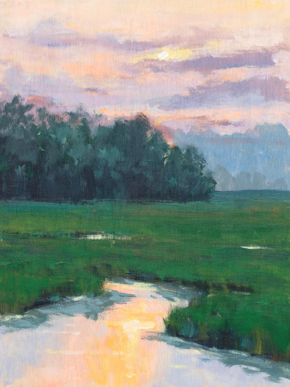 Sunset Over the Marshes