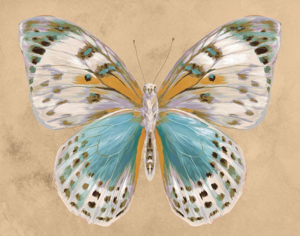 Beetles and Butterflies IV