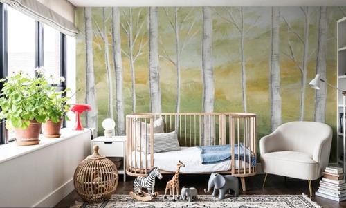 Birch Forest