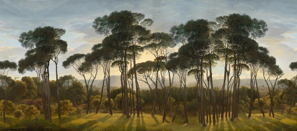 Mediterranean Pine Landscape, Original