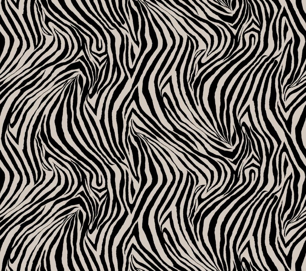 A Stripe of Zebra, Grey