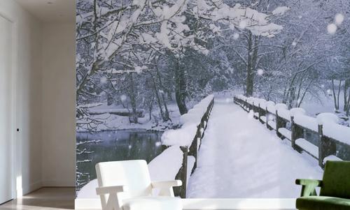 Winter Bridge Serenity