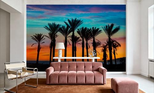Miami Palms