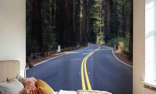 Redwood Journey