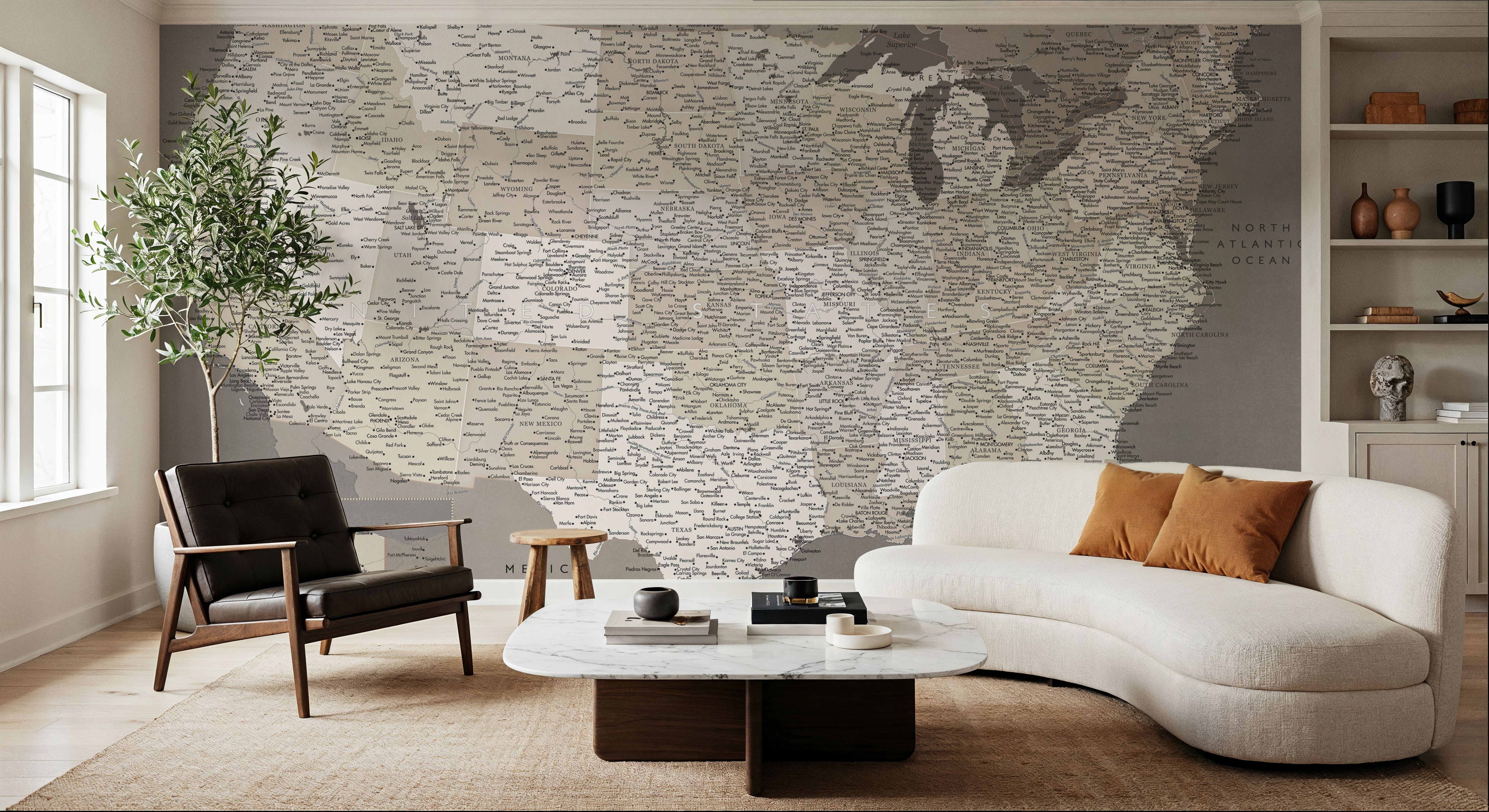 US Map Detailed - Earth