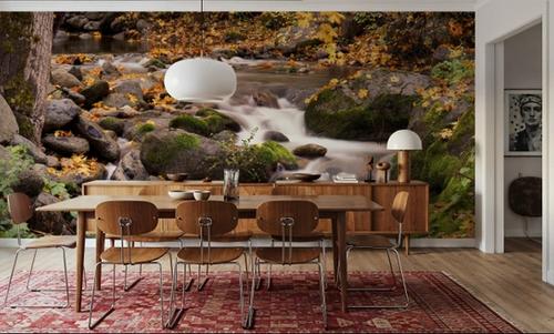 Autumn Creek Serenity