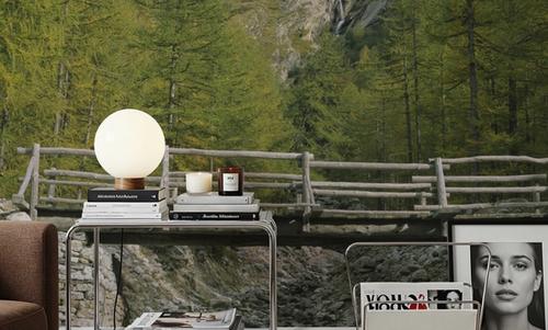 Mountain Bridge Crossing