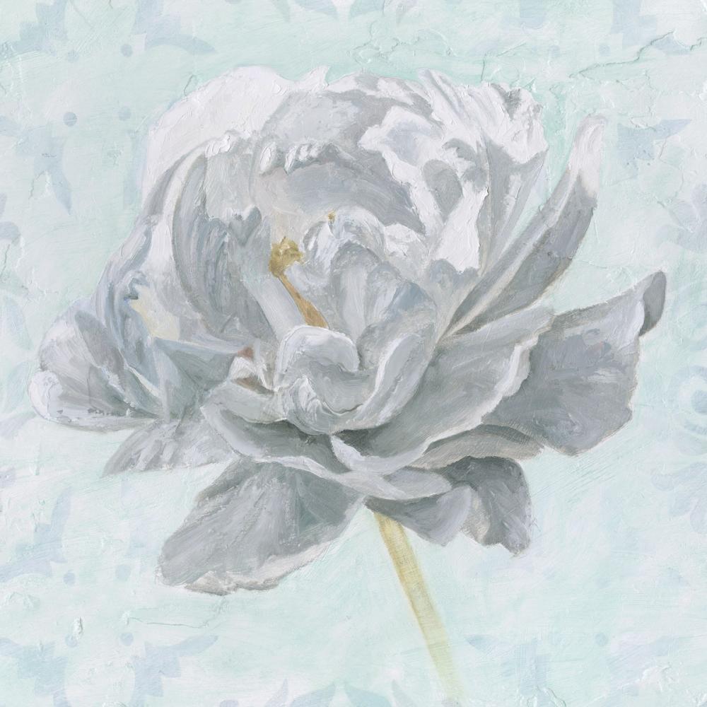 Sublime Peony
