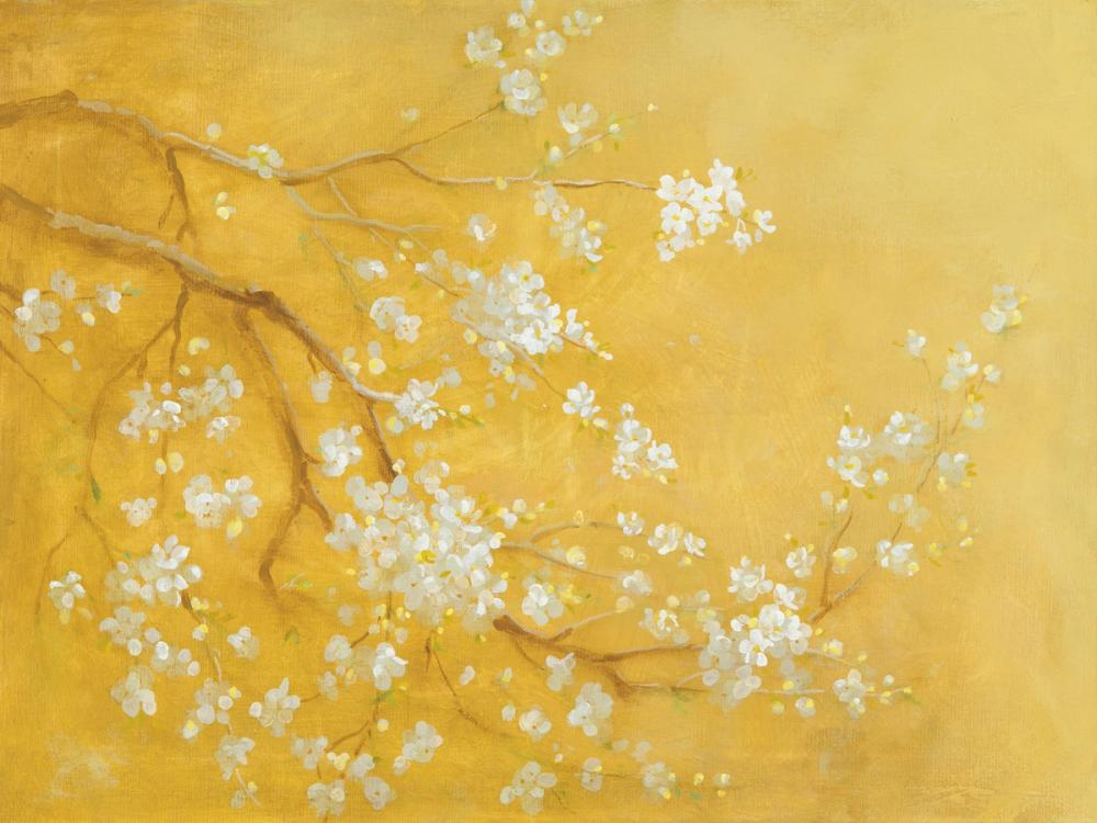 White Cherry Blossoms I