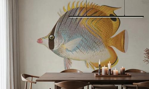 Chaetodon