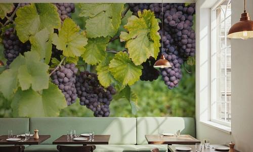 Vineyard Harvest