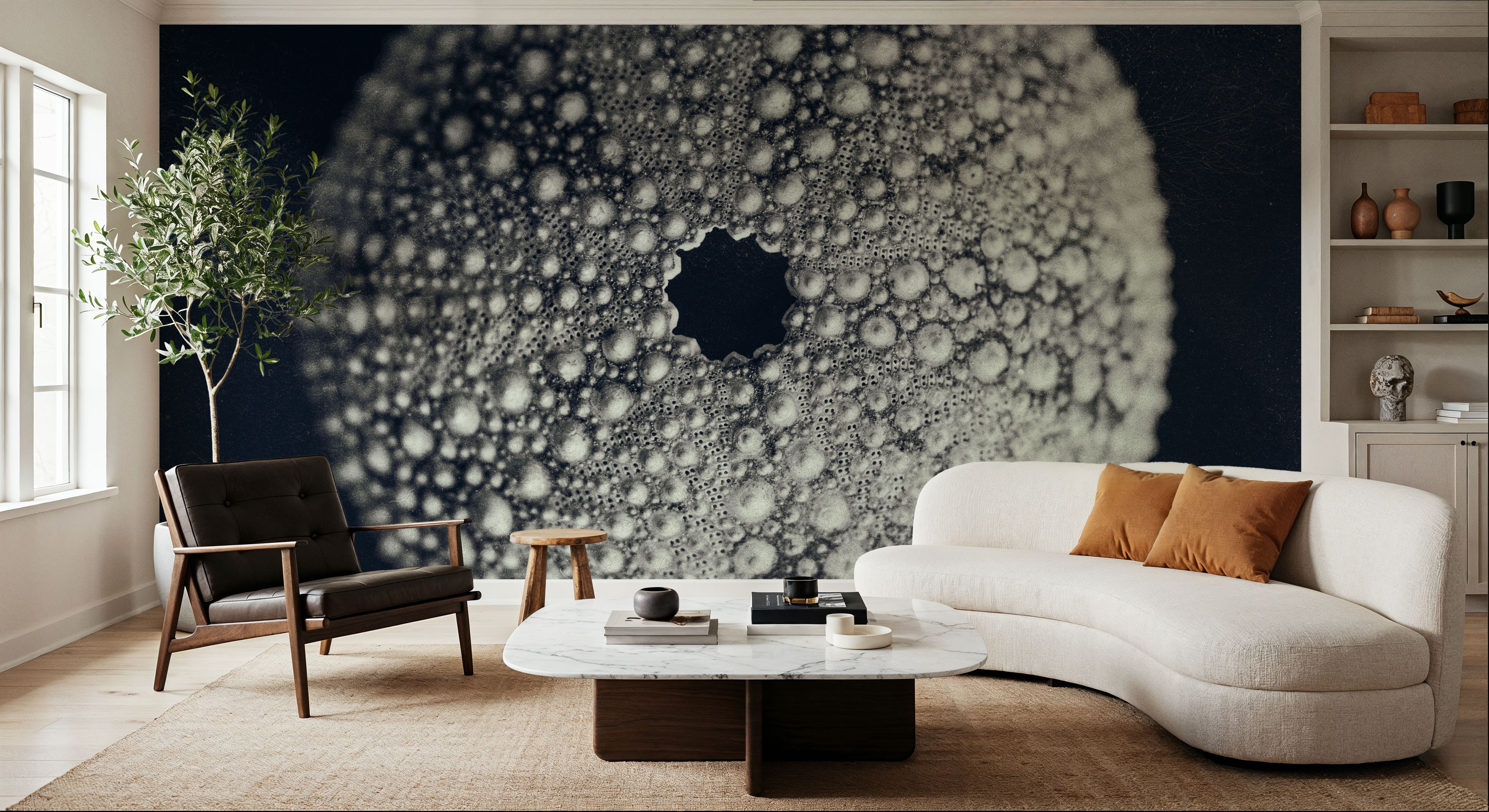 Urchin Still Life I