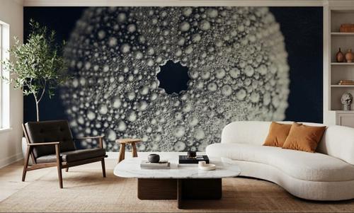 Urchin Still Life I