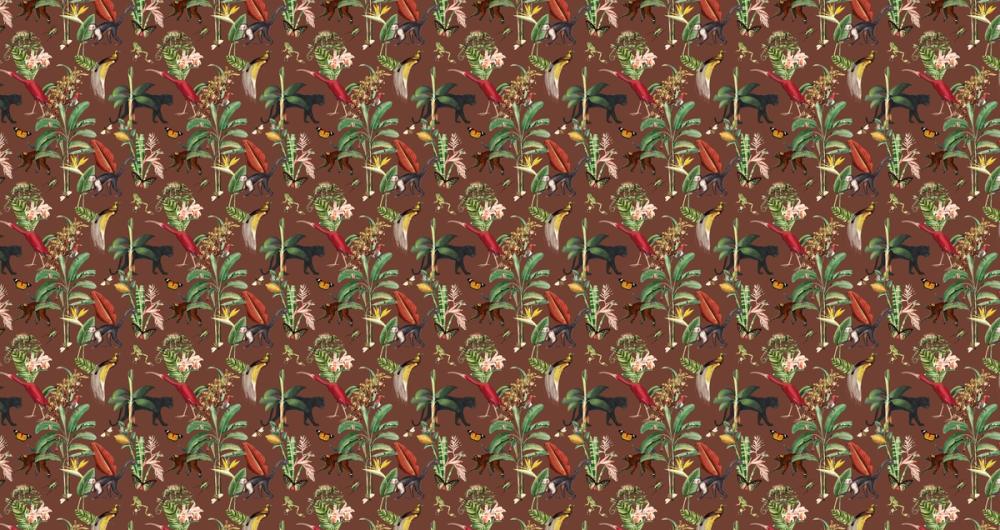 Kingdom Animalia Chocolate