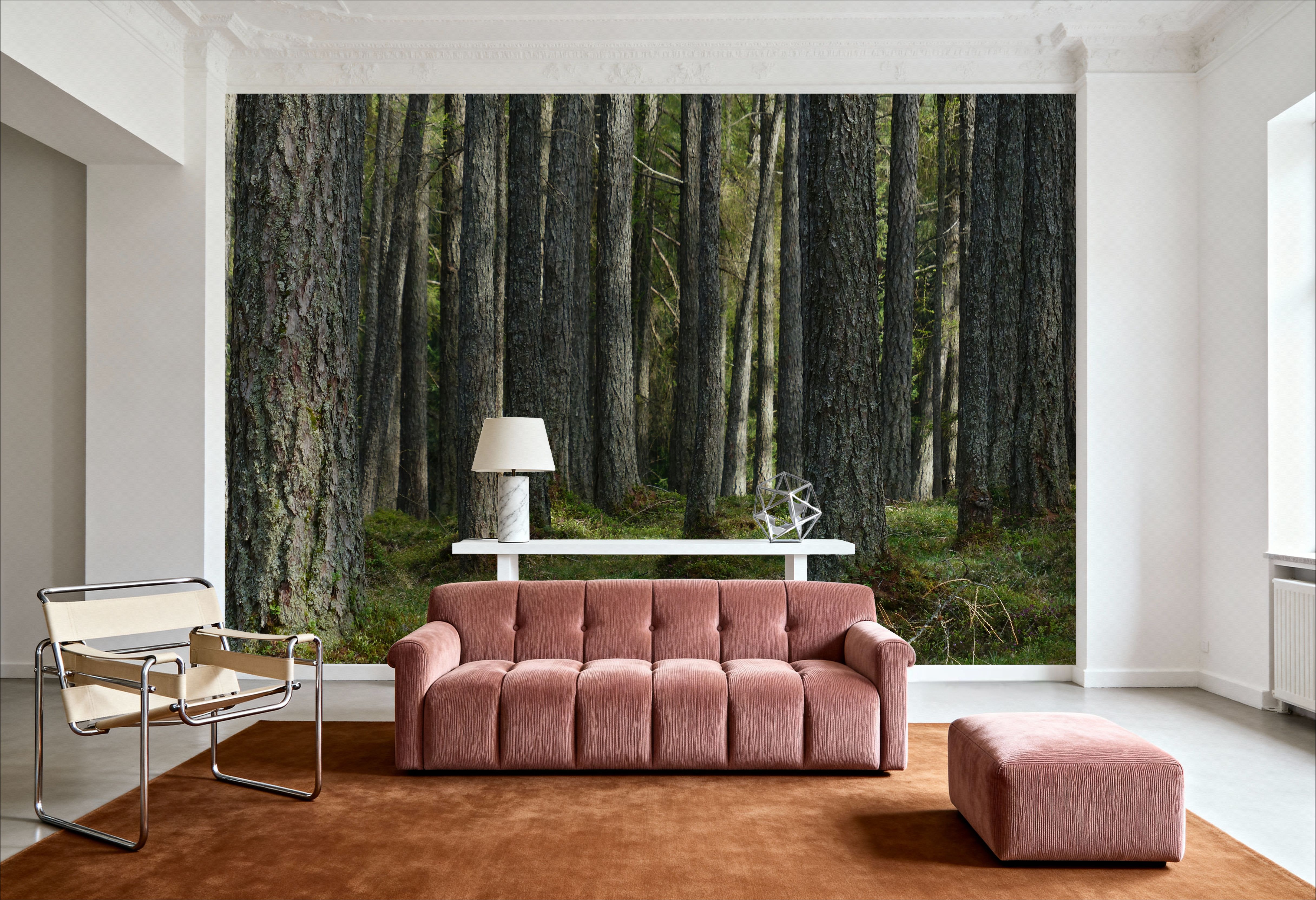 Pine Forest