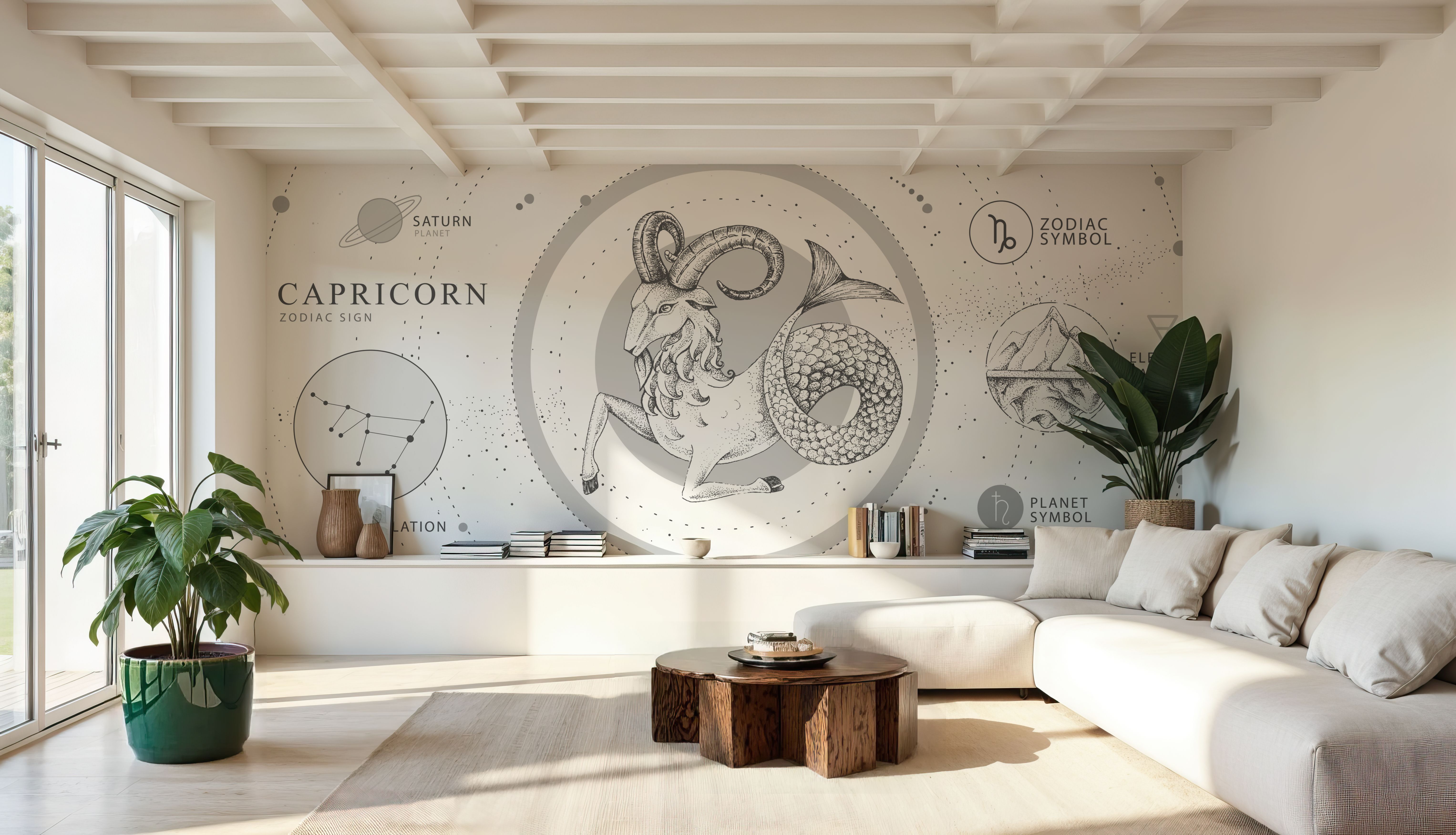 Capricorn Zodiac