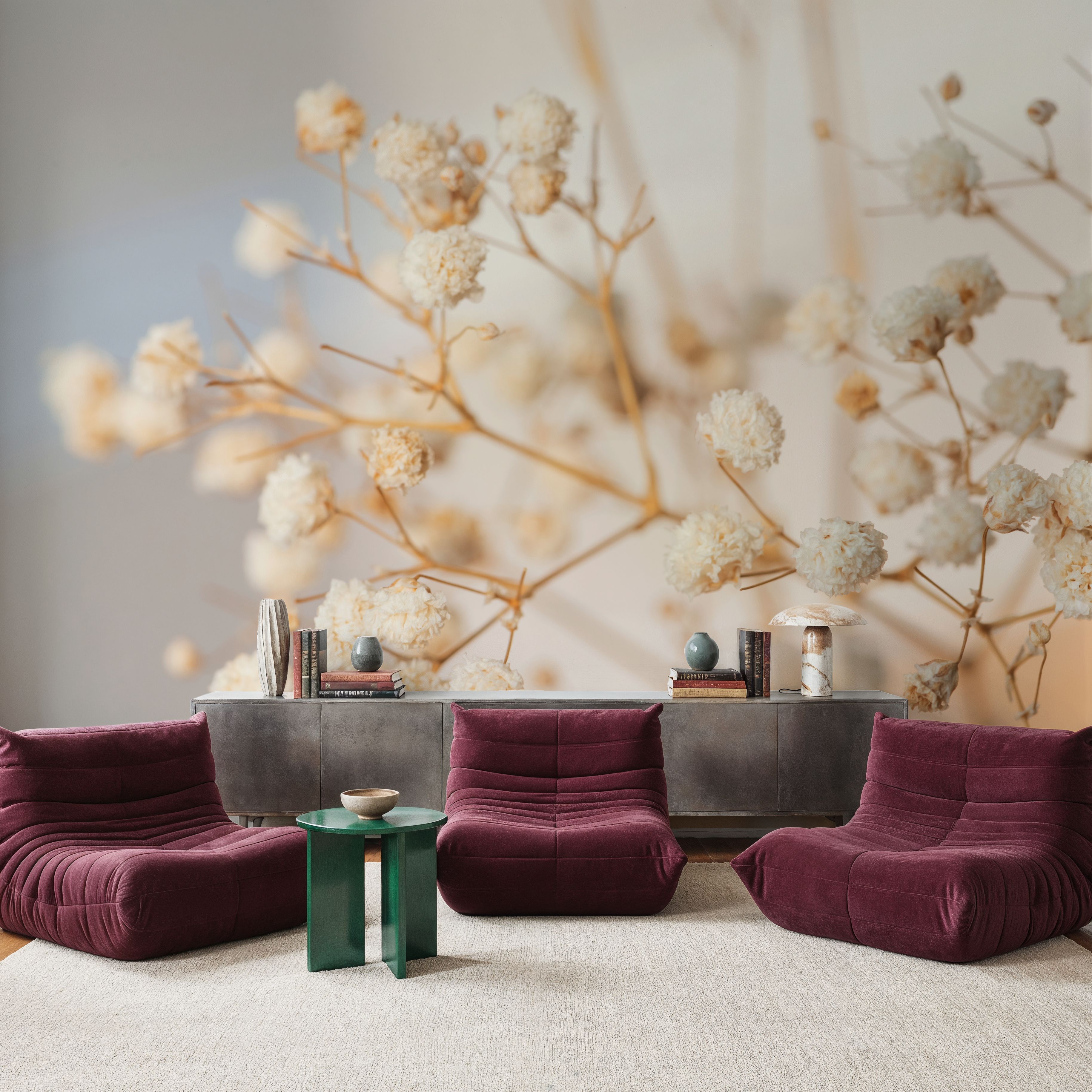 Gypsophila 
