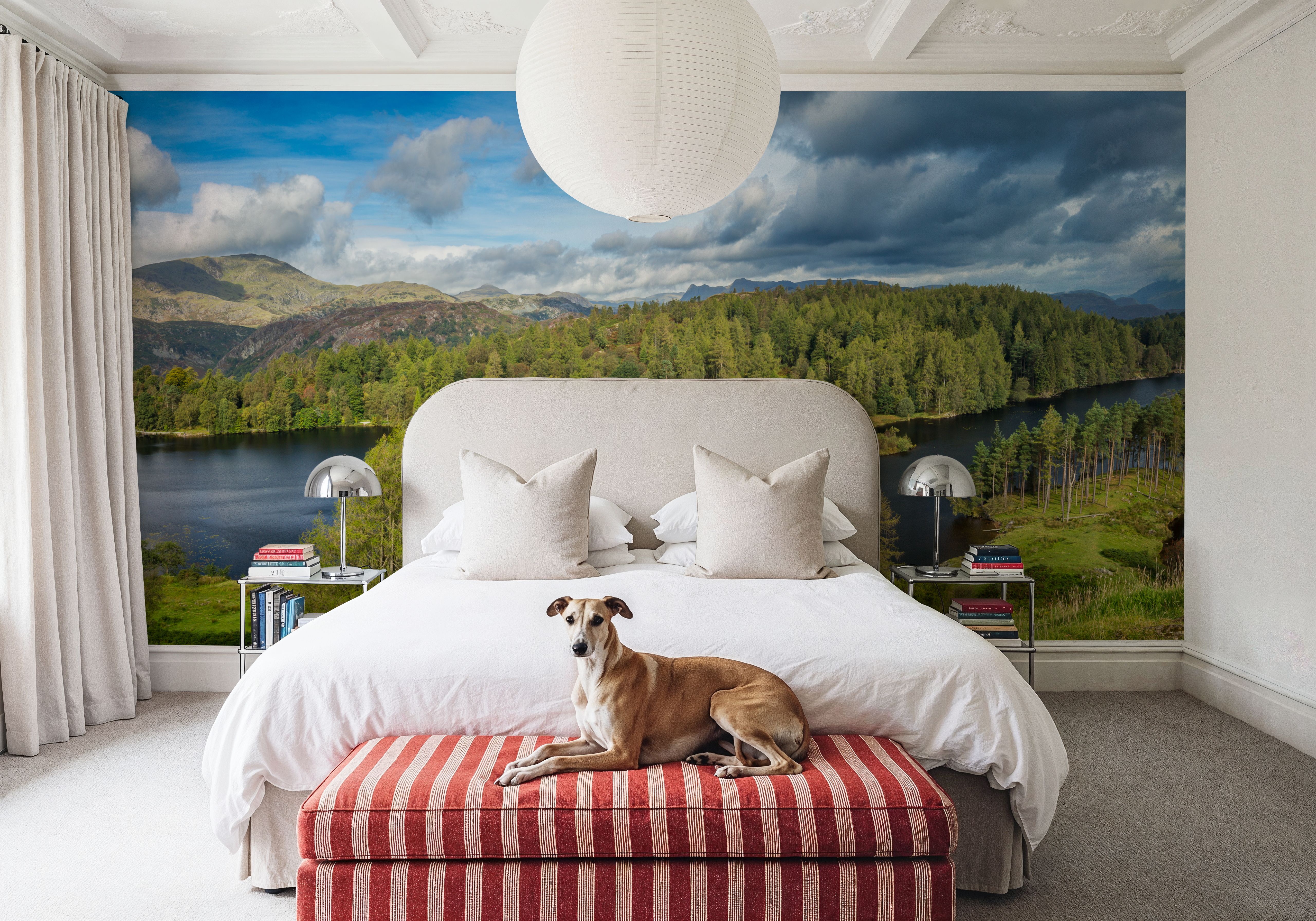 Forest Lake, Wallpaper