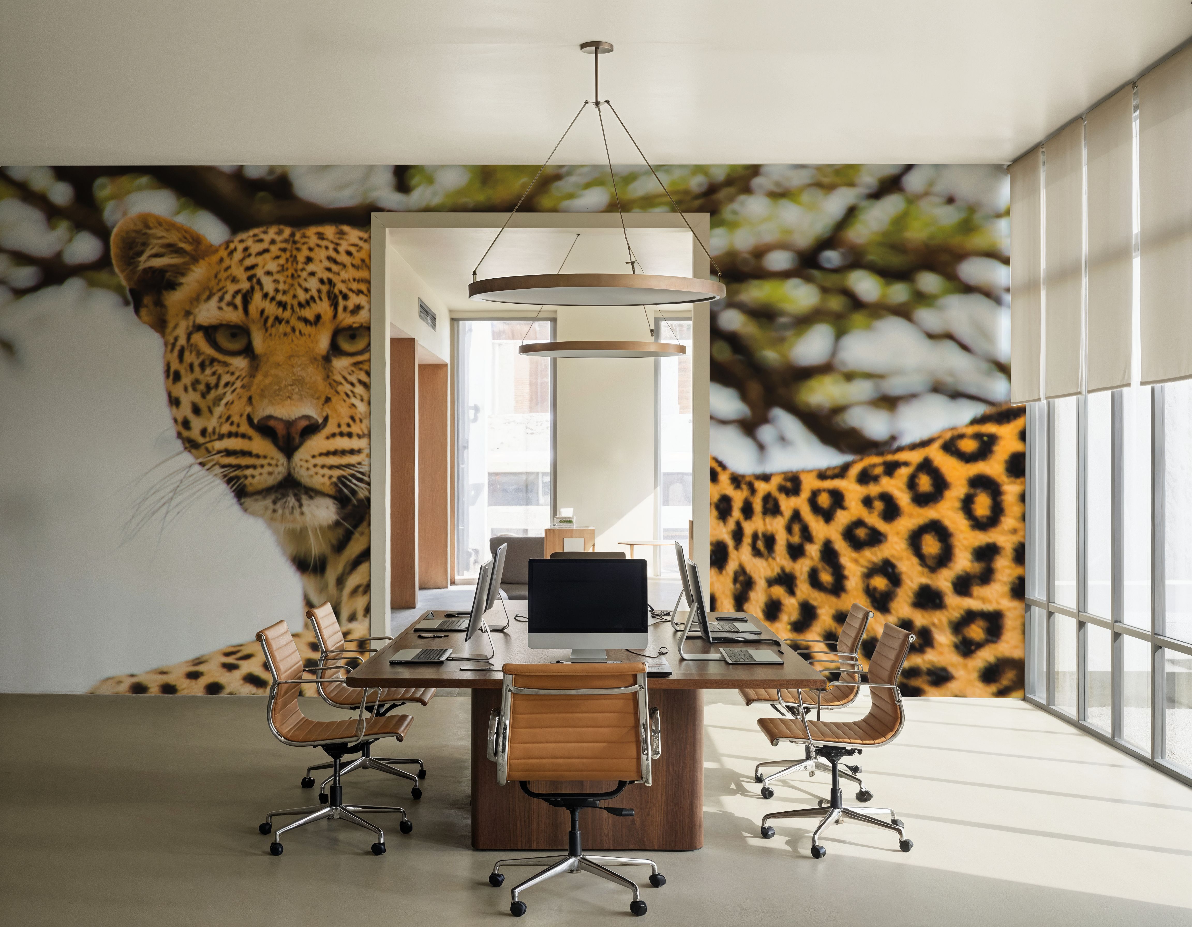Lounging Leopard