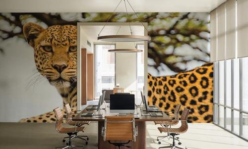 Lounging Leopard