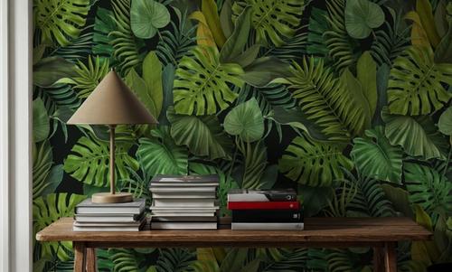 Jungle Vibes