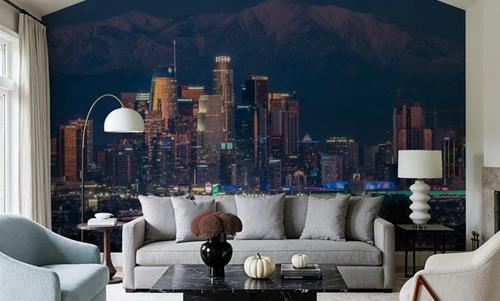 Moonlit Los Angeles