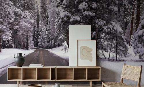 Winter's Path