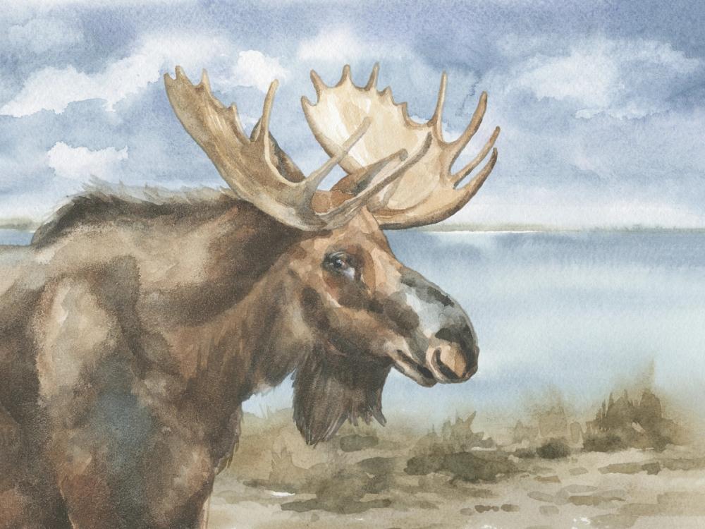 Moose by Lake