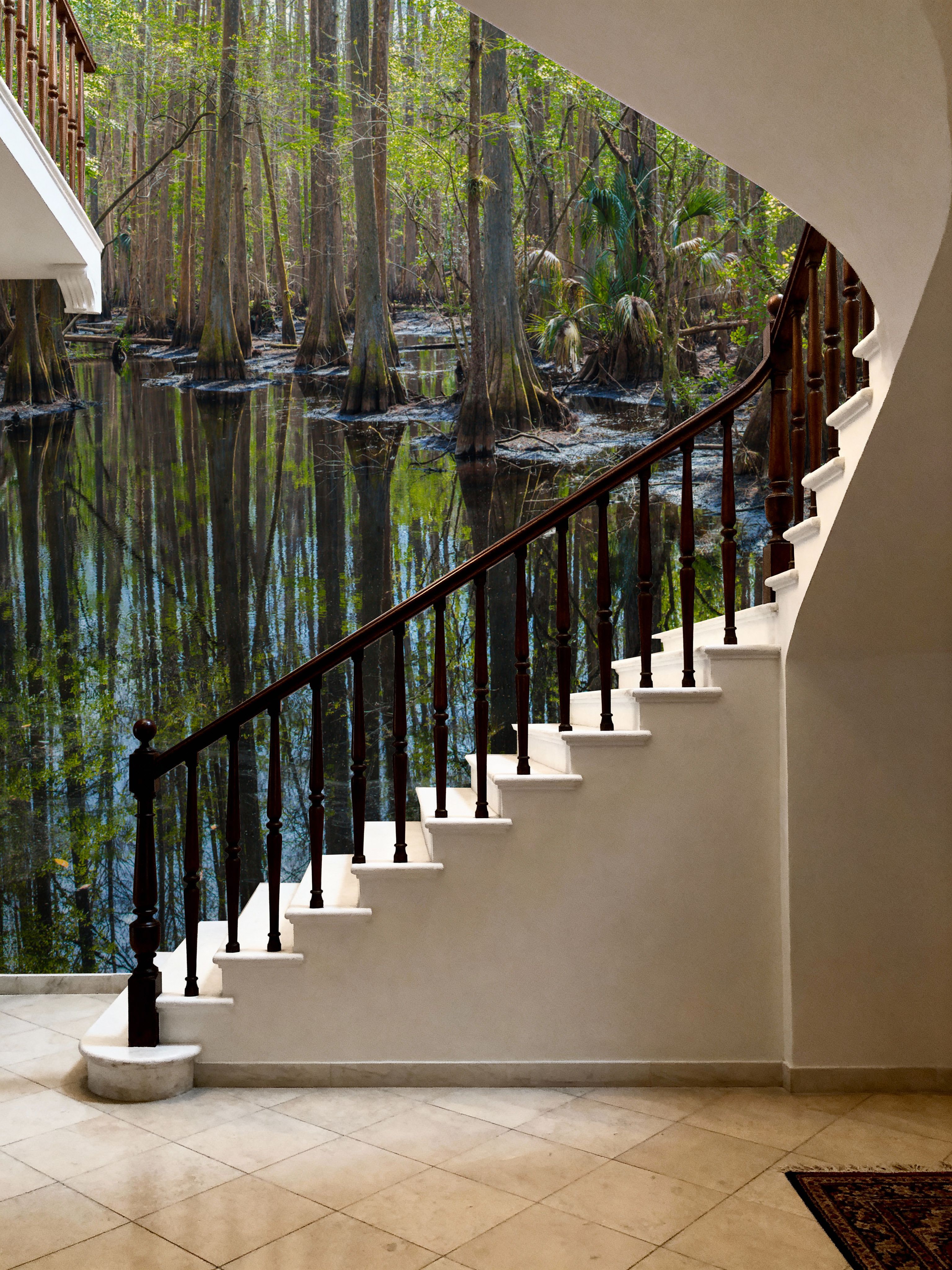 Highlands Hammock State Park