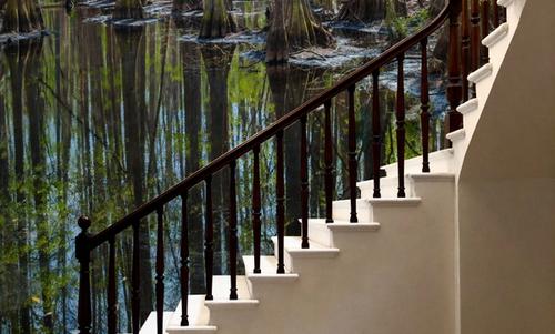 Highlands Hammock State Park