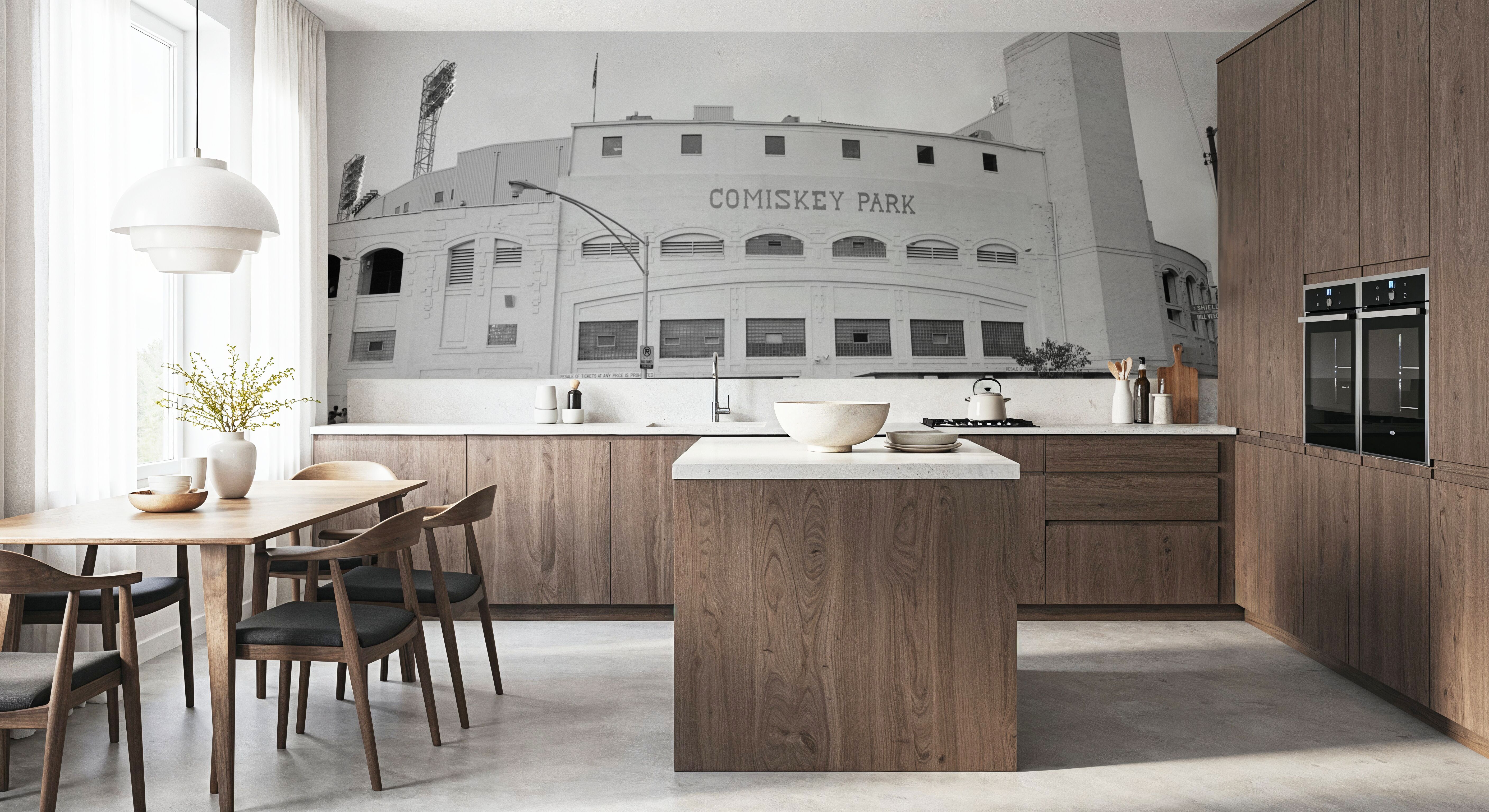 Vintage Comiskey Entrance