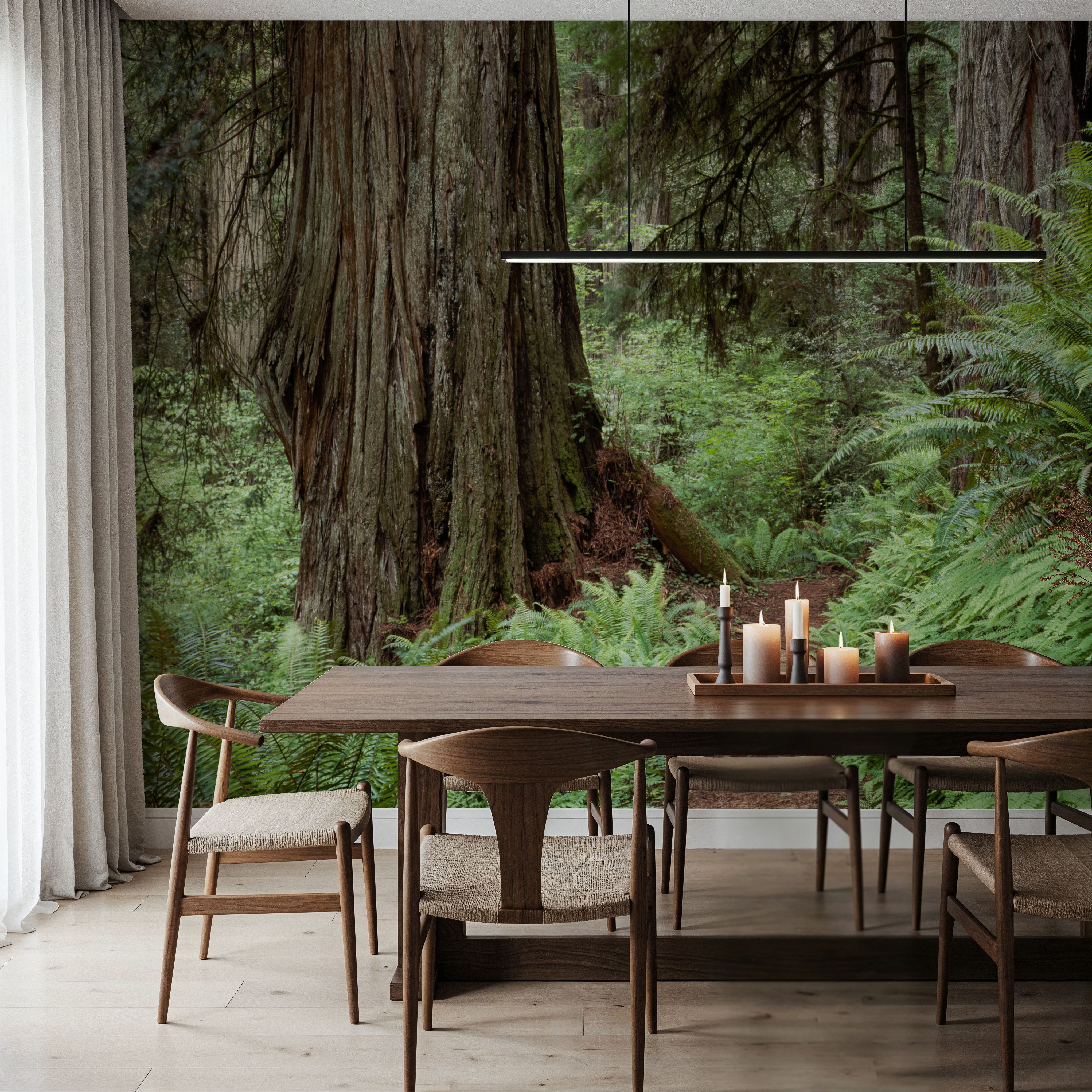 Primeval Forest Path