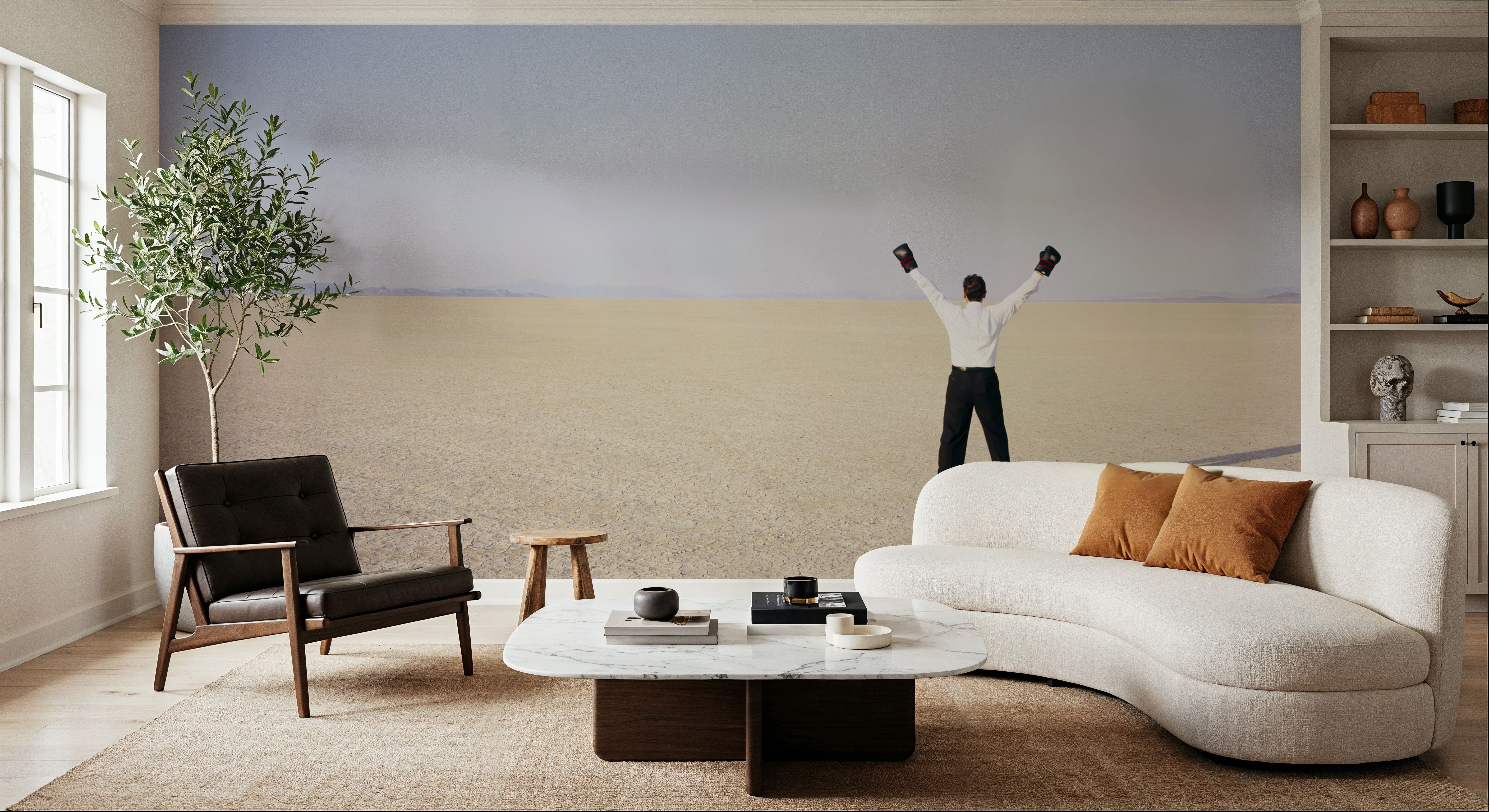 Black Rock Desert, Wallpaper