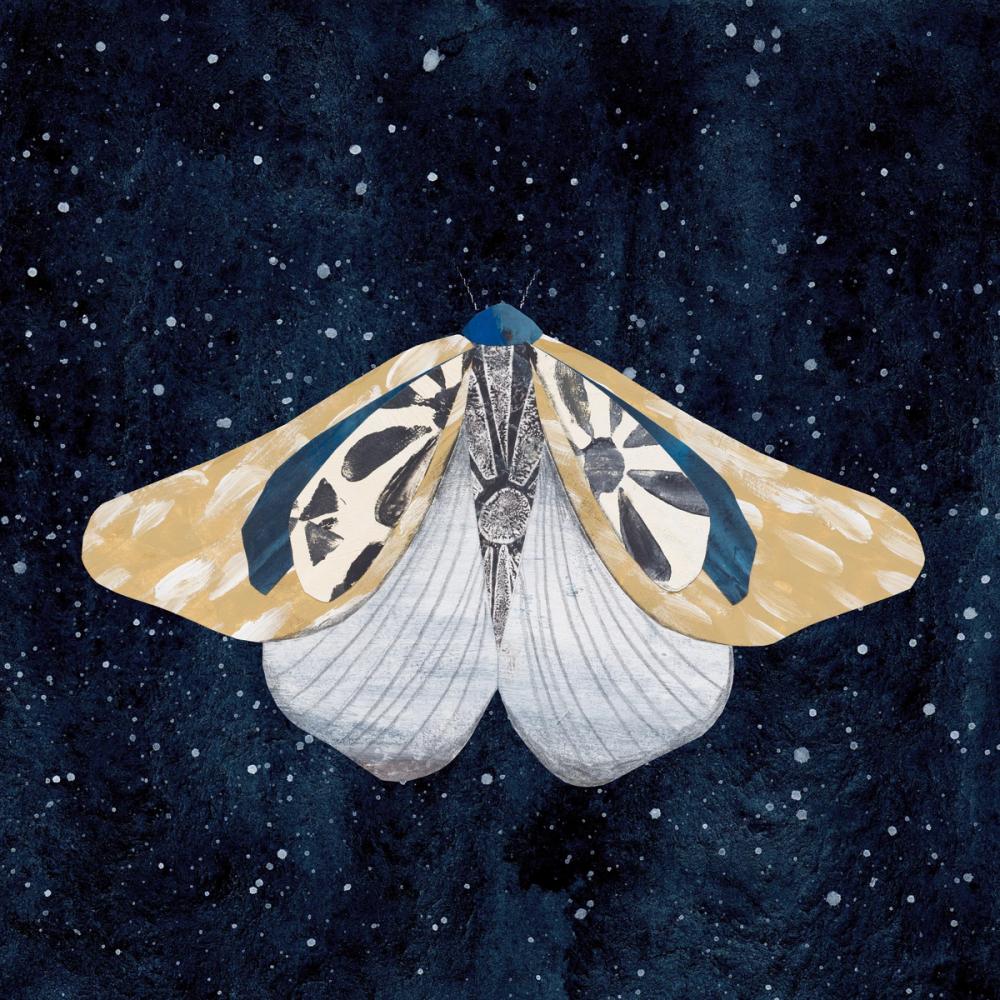 Elegant Moth II