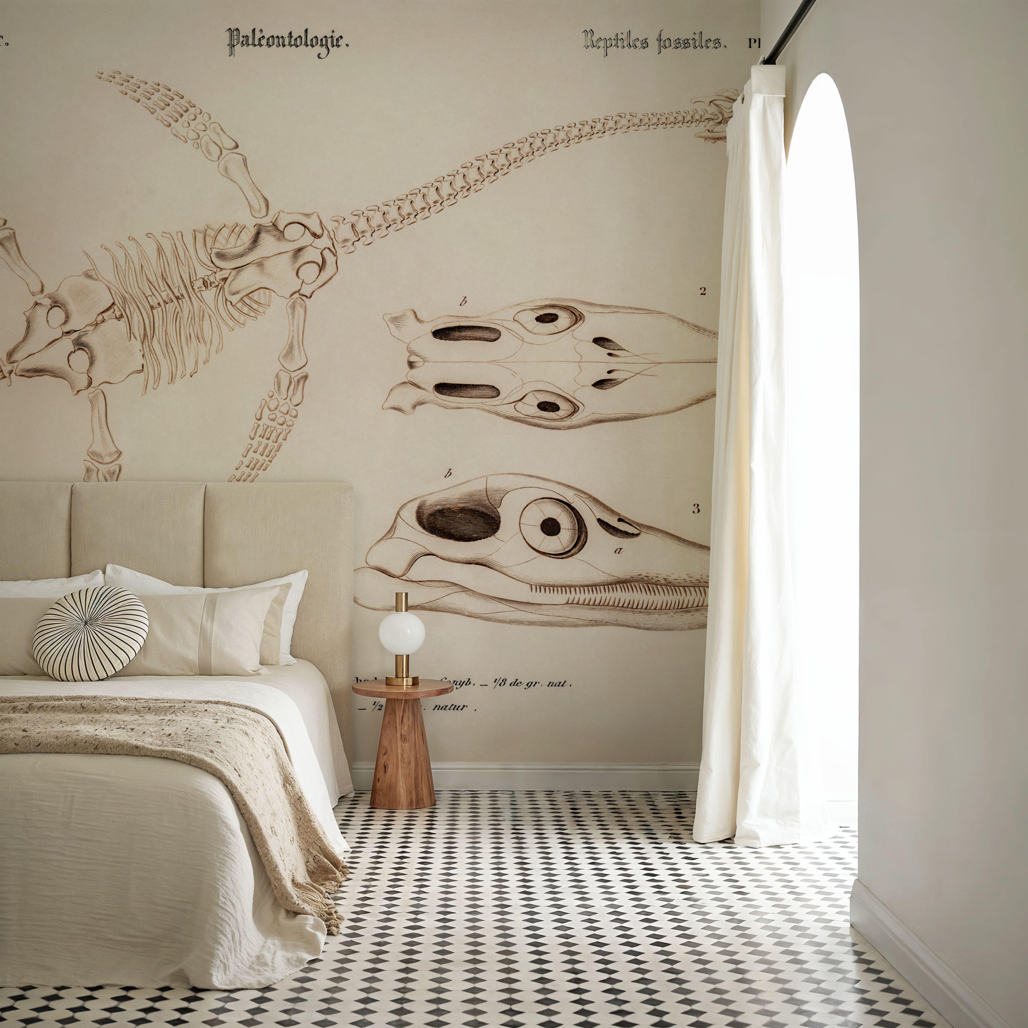 Plesiosaurus Illustrated
