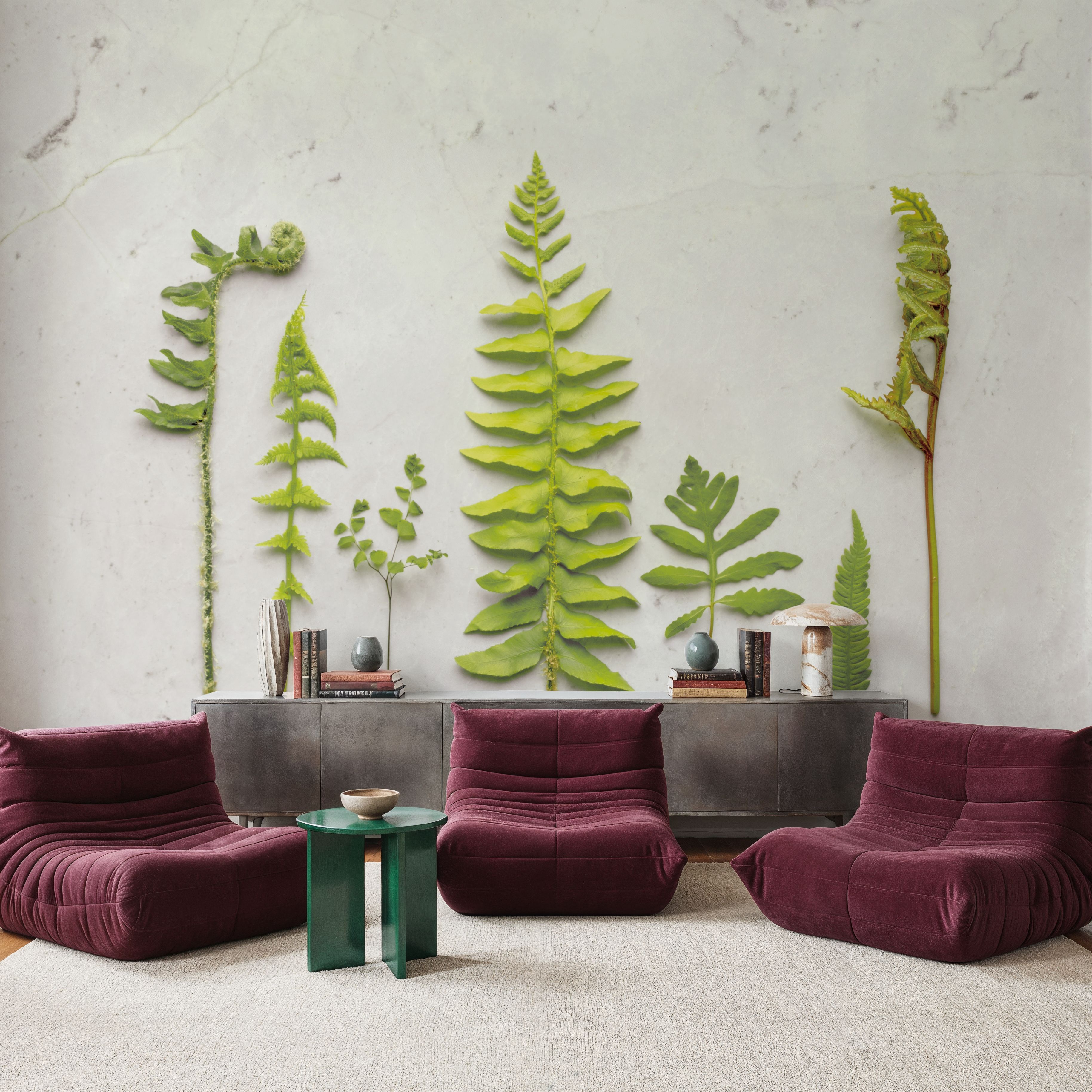 Flat Lay Ferns