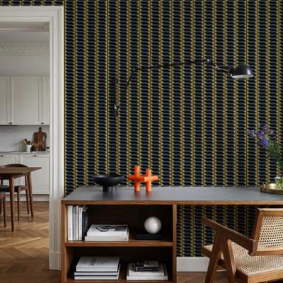 Accordion, Night and Day