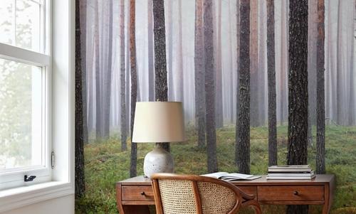 Hide and Seek Forest