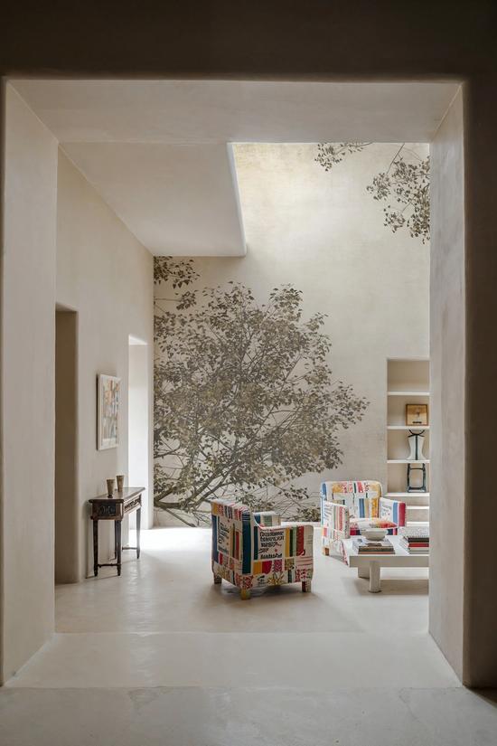 Tree Crowns