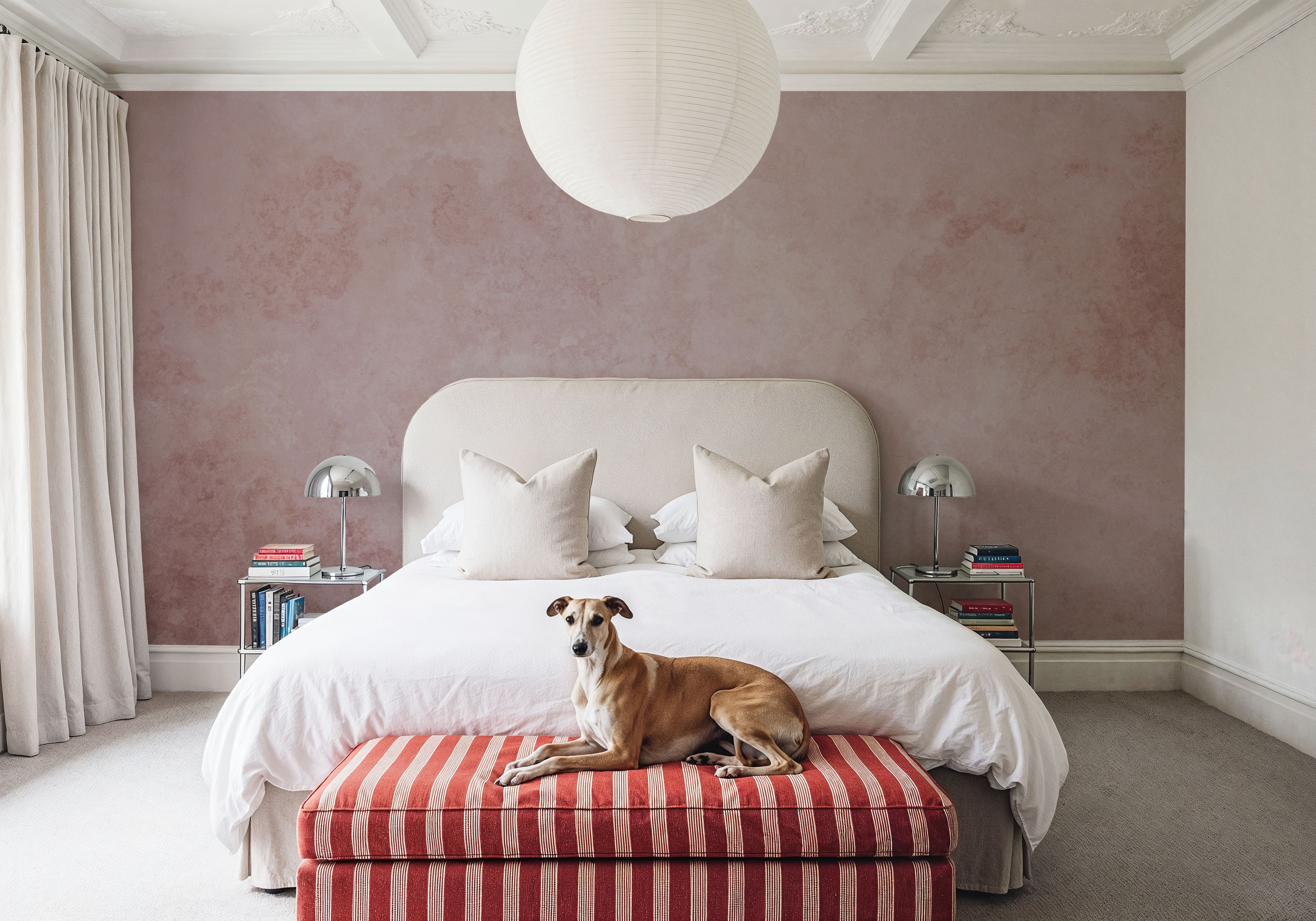 Subtle Plaster Wall, Soft Pink