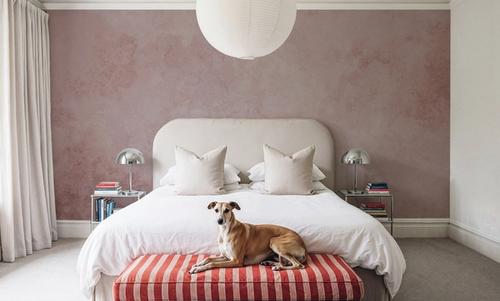 Subtle Plaster Wall, Soft Pink