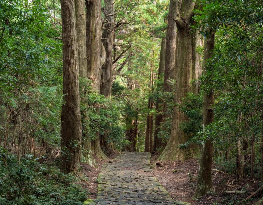 Kumano Kodō Pilgrimage Route