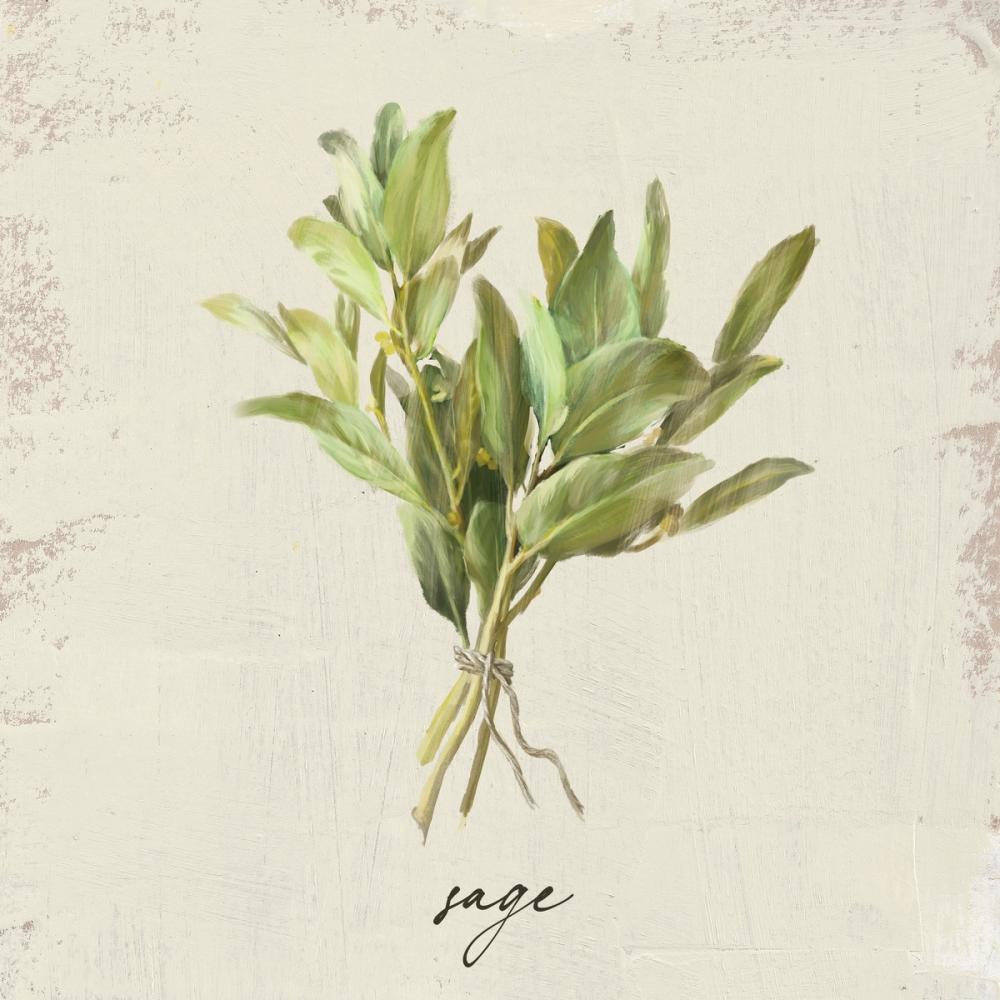 Rustic Herbs IV Neutral