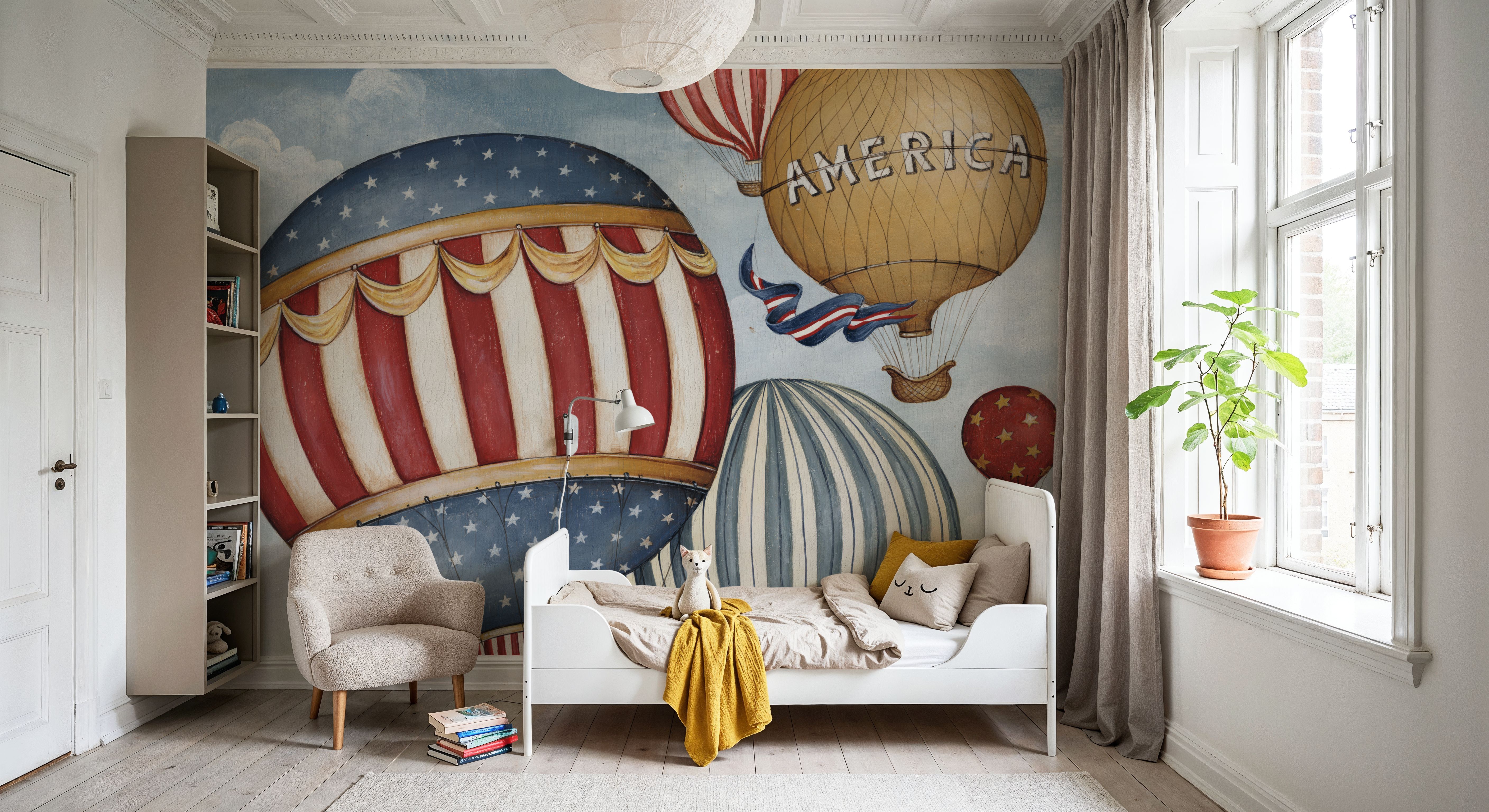 Hot Air Balloons America